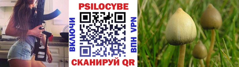 ссылка на мегу ССЫЛКА магазин продажи наркотиков Сосновый Бор Псилоцибиновые грибы мицелий